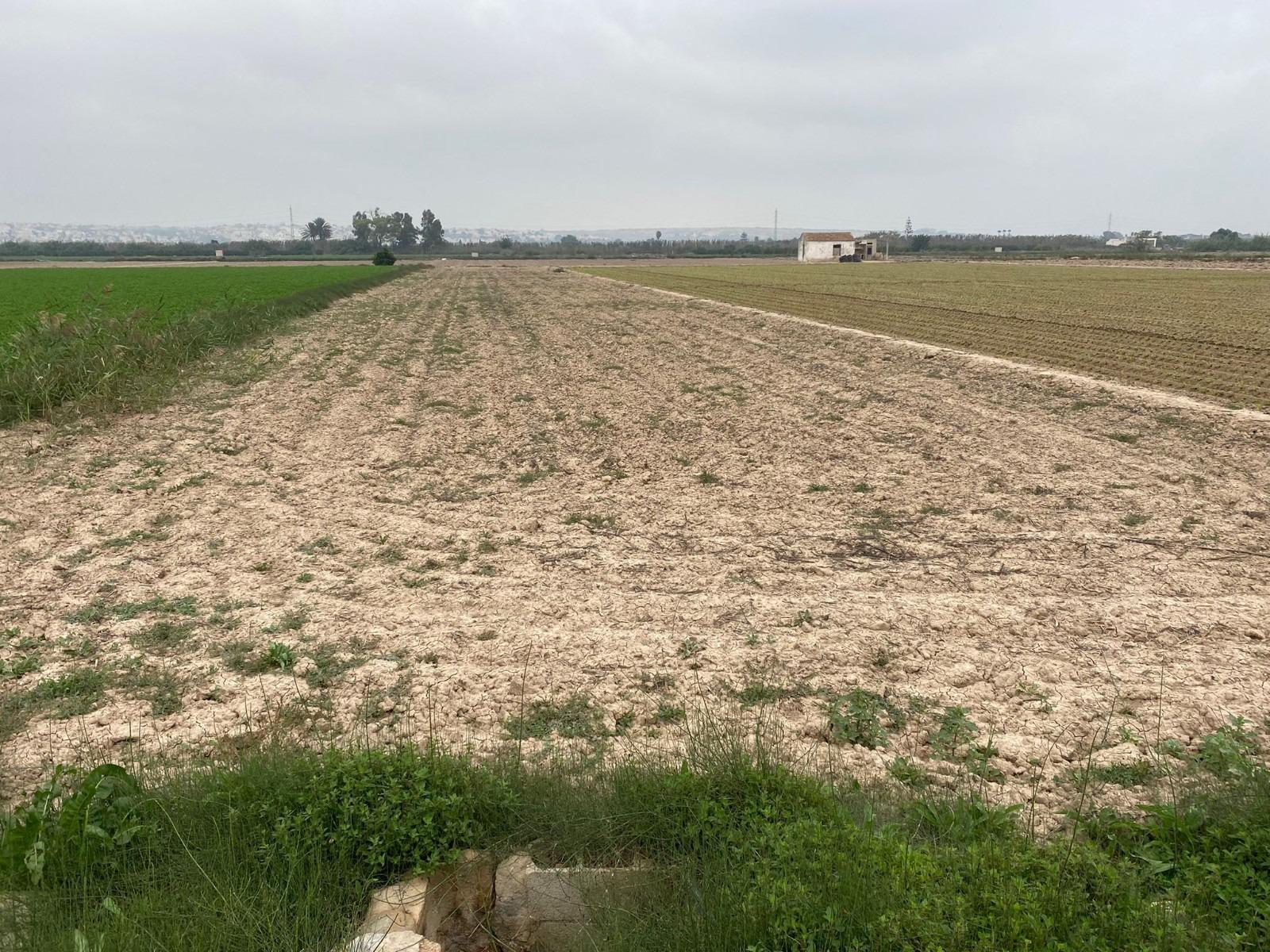 Terreno rural