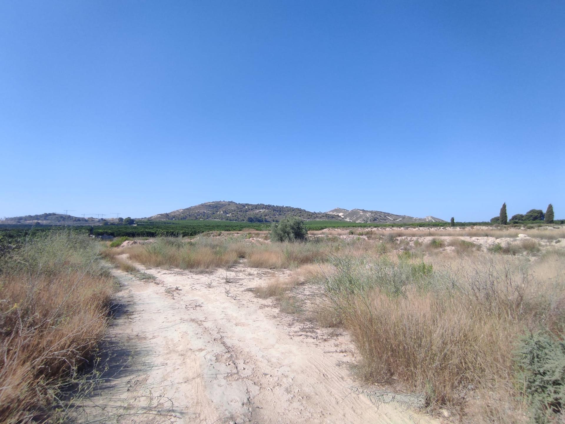 Terreno rural