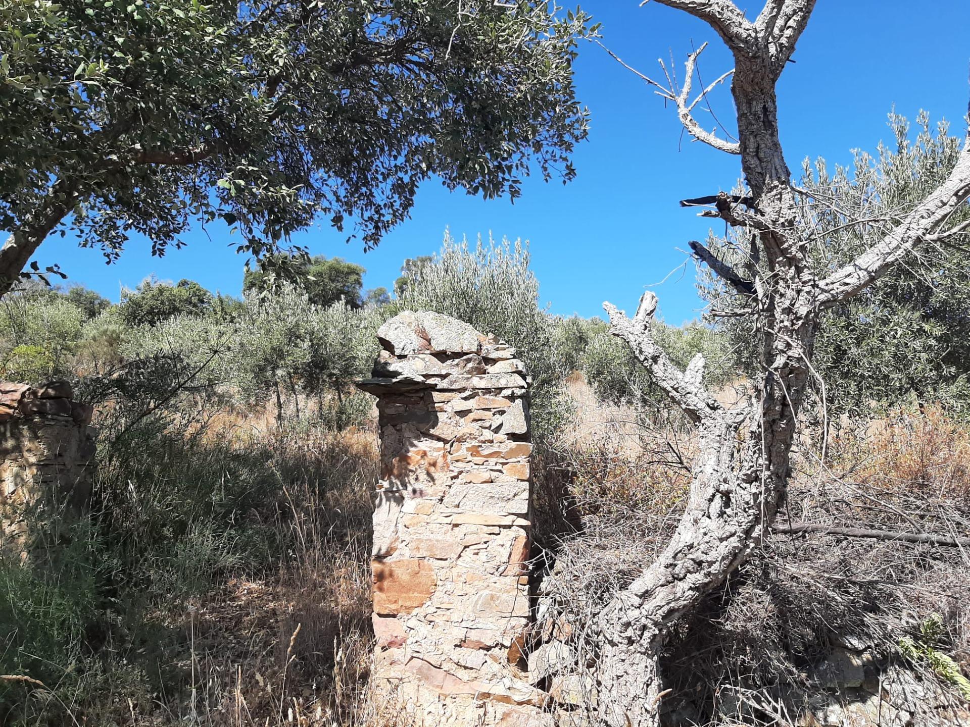 Terreno rural
